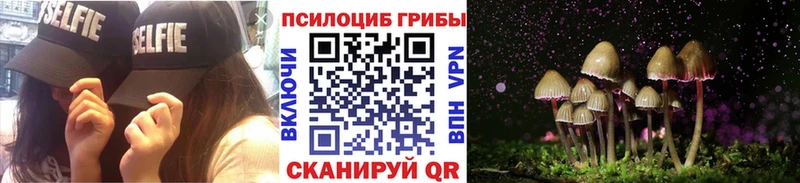 Псилоцибиновые грибы Psilocybine cubensis  Купить где  Волгореченск 