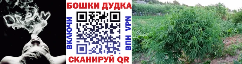 Купить  Волгореченск  Каннабис гибрид 